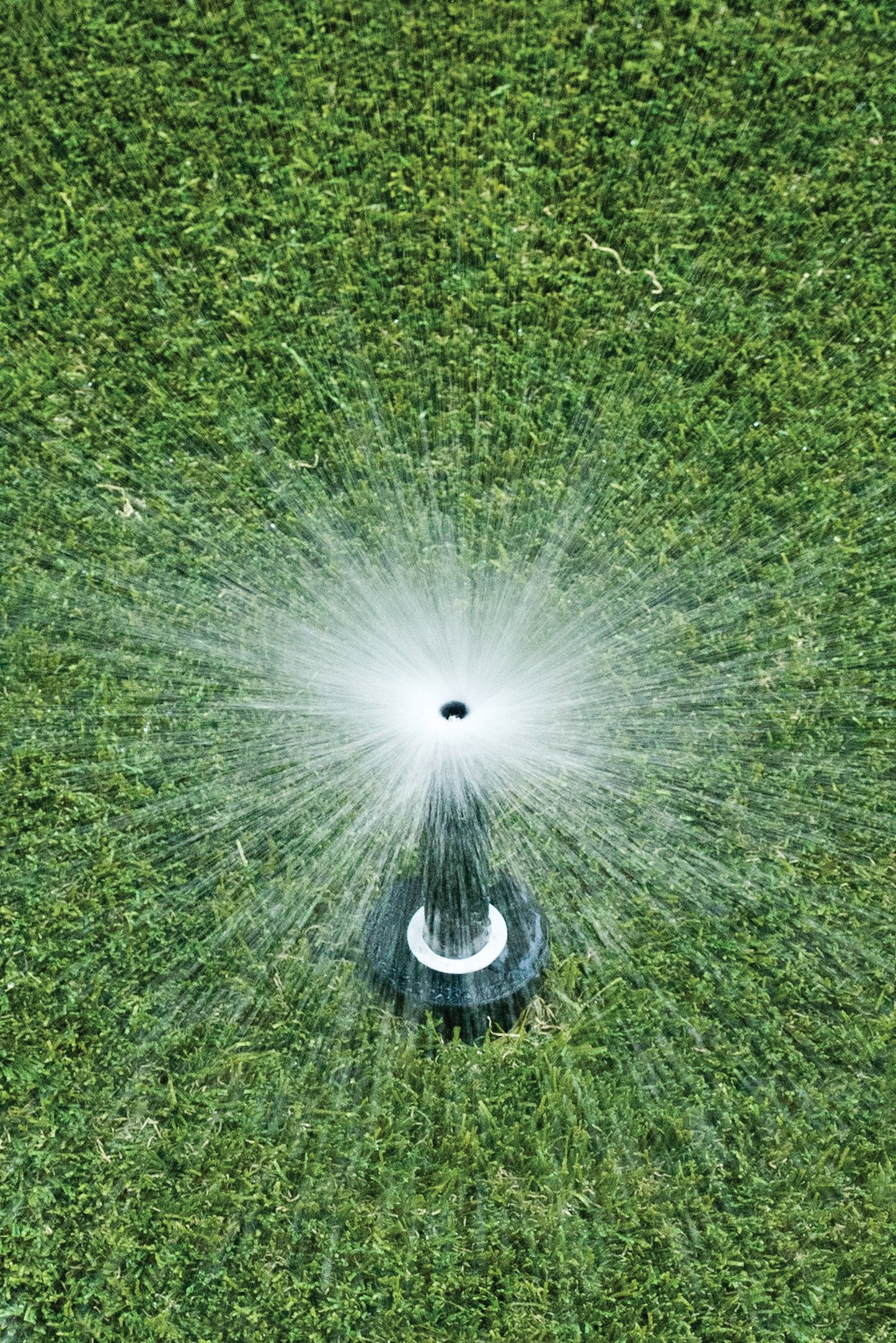 Rain Bird 1804FDSP25 Pressure Regulating (PRS) Professional Dual Spray Pop-Up Sprinkler, 360° Full Circle Pattern, 8' - 15' Spray Distance, 4" Pop-up Height