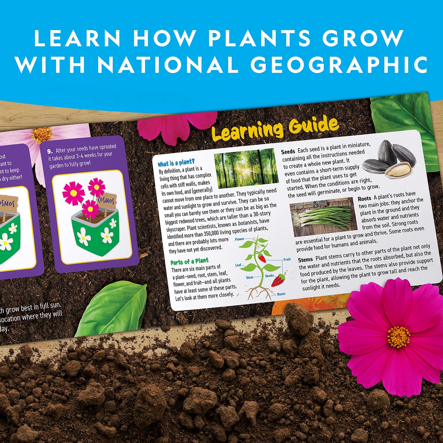National Geographic Flower & Herb Gardening Kit for Kids - Kids Gardening Set with 3 Stainless Steel Pots, Paint & Stickers, Outdoor Toys, Craft Kits, Plant Growing Kit, Easter Basket Stuffers